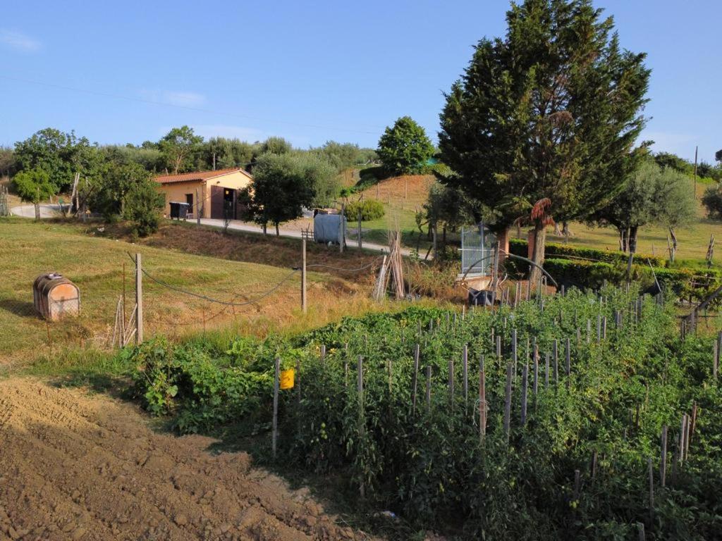 La Piaggiola Degli Olivi Villa Panicale Exterior photo